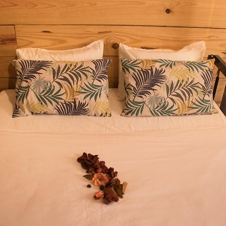 Hostal Erasmus By Gaiarooms Salamanca Eksteriør bilde